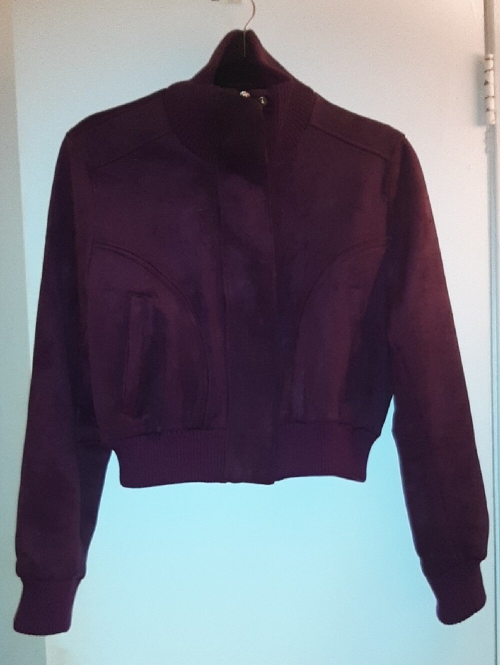 Viral Zara Cropped High Neck Faux Suede Jacket Eggplant M